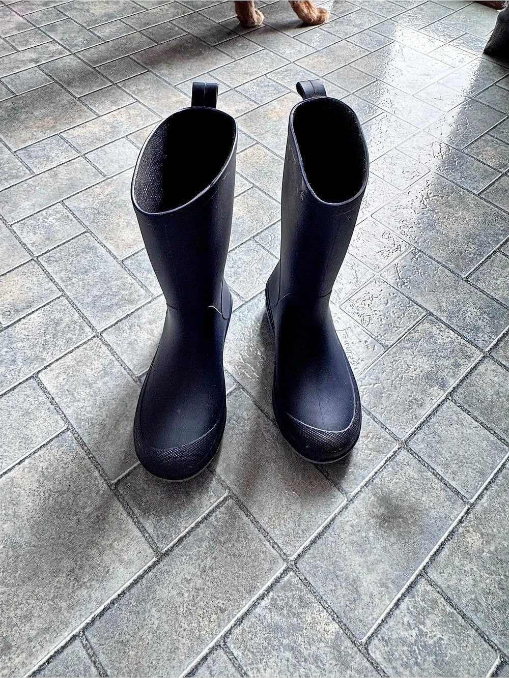 Cat & Jack Kids Andy Rain Boots Black